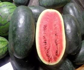 快手网红黑料吃瓜网